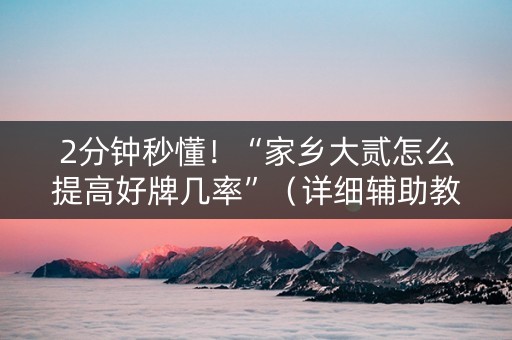 2分钟秒懂！“家乡大贰怎么提高好牌几率”（详细辅助教程）-哔哩哔哩