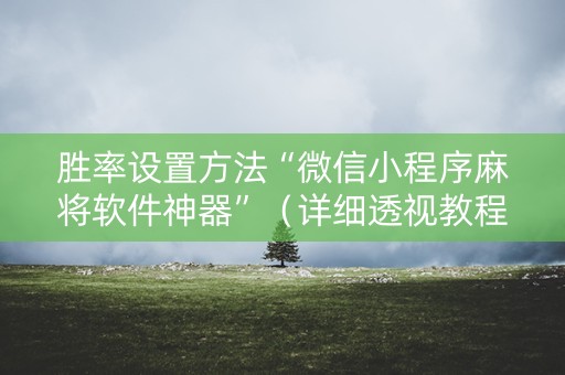 胜率设置方法“微信小程序麻将软件神器”（详细透视教程）-哔哩哔哩