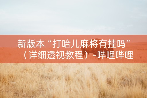 新版本“打哈儿麻将有挂吗”（详细透视教程）-哔哩哔哩