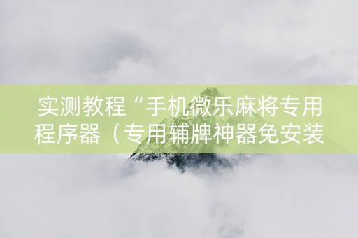 实测教程“手机微乐麻将专用程序器（专用辅牌神器免安装）
