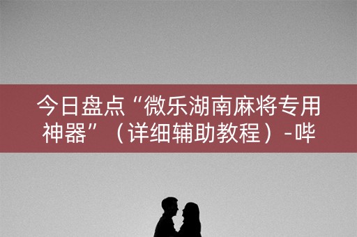 今日盘点“微乐湖南麻将专用神器”（详细辅助教程）-哔哩哔哩