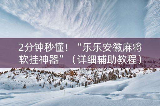 2分钟秒懂！“乐乐安徽麻将软挂神器”（详细辅助教程）-哔哩哔哩
