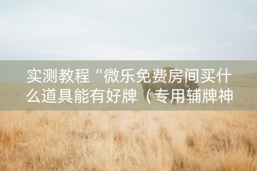 实测教程“微乐免费房间买什么道具能有好牌（专用辅牌神器免安装）