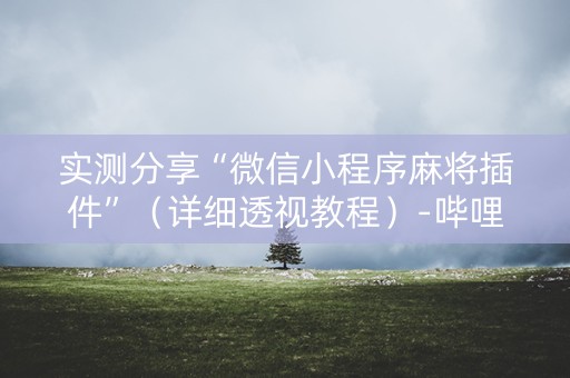 实测分享“微信小程序麻将插件”（详细透视教程）-哔哩哔哩