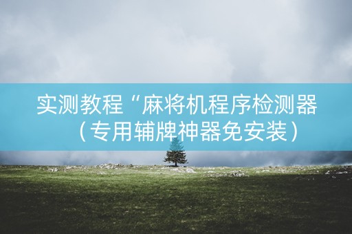 实测教程“麻将机程序检测器（专用辅牌神器免安装）