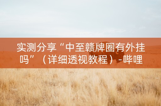 实测分享“中至赣牌圈有外挂吗”（详细透视教程）-哔哩哔哩