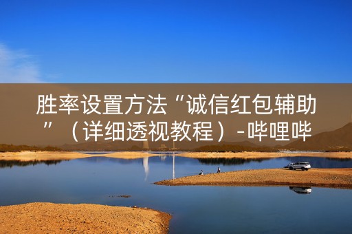 胜率设置方法“诚信红包辅助”（详细透视教程）-哔哩哔哩