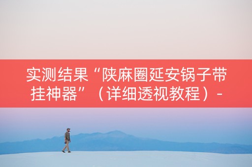 实测结果“陕麻圈延安锅子带挂神器”（详细透视教程）-哔哩哔哩