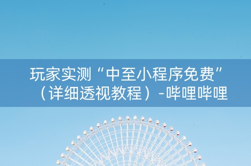 玩家实测“中至小程序免费”（详细透视教程）-哔哩哔哩