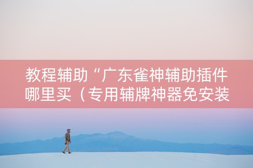 教程辅助“广东雀神辅助插件哪里买（专用辅牌神器免安装）
