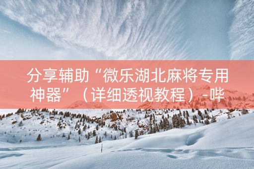 分享辅助“微乐湖北麻将专用神器”（详细透视教程）-哔哩哔哩