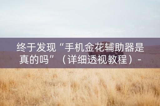 终于发现“手机金花辅助器是真的吗”（详细透视教程）-哔哩哔哩
