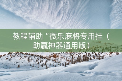 教程辅助“微乐麻将专用挂（助赢神器通用版）