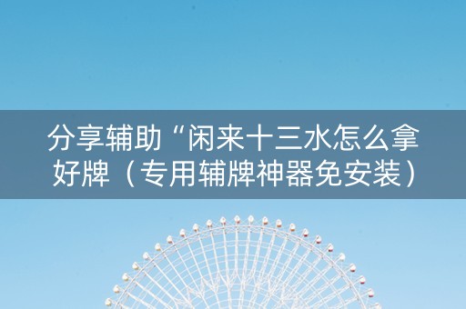 分享辅助“闲来十三水怎么拿好牌（专用辅牌神器免安装）