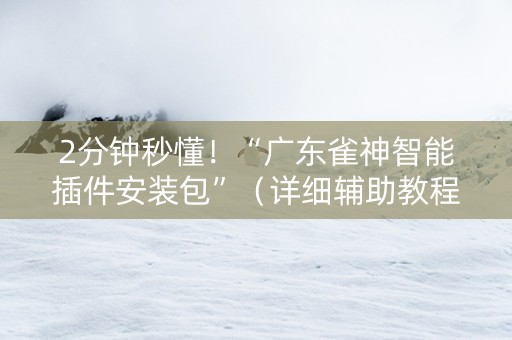 2分钟秒懂！“广东雀神智能插件安装包”（详细辅助教程）-哔哩哔哩