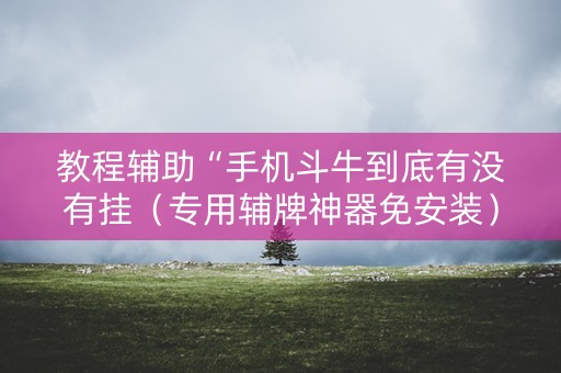 教程辅助“手机斗牛到底有没有挂（专用辅牌神器免安装）