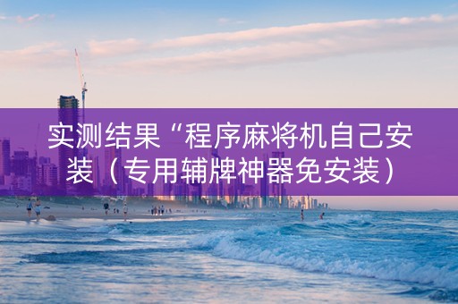 实测结果“程序麻将机自己安装（专用辅牌神器免安装）