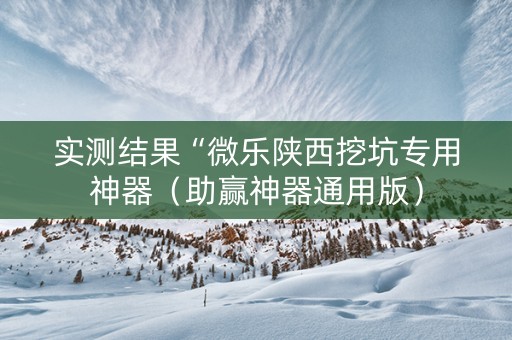 实测结果“微乐陕西挖坑专用神器（助赢神器通用版）