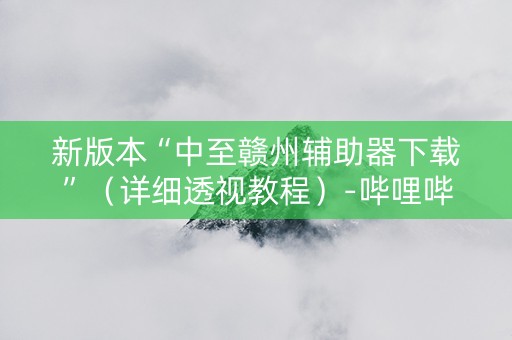 新版本“中至赣州辅助器下载”（详细透视教程）-哔哩哔哩
