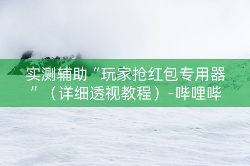 实测辅助“玩家抢红包专用器”（详细透视教程）-哔哩哔哩
