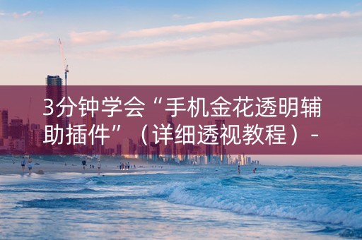 3分钟学会“手机金花透明辅助插件”（详细透视教程）-哔哩哔哩