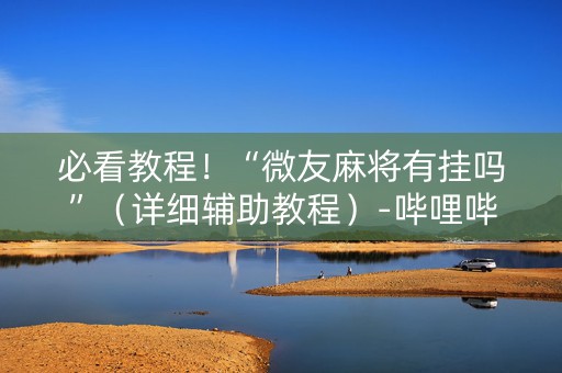 必看教程！“微友麻将有挂吗”（详细辅助教程）-哔哩哔哩