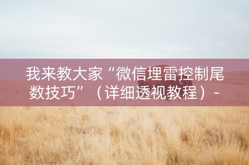 我来教大家“微信埋雷控制尾数技巧”（详细透视教程）-哔哩哔哩