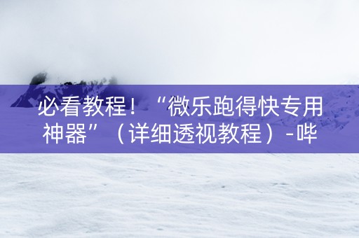 必看教程！“微乐跑得快专用神器”（详细透视教程）-哔哩哔哩