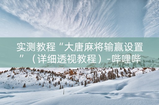 实测教程“大唐麻将输赢设置”（详细透视教程）-哔哩哔哩