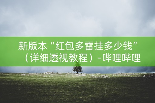 新版本“红包多雷挂多少钱”（详细透视教程）-哔哩哔哩