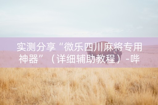 实测分享“微乐四川麻将专用神器”（详细辅助教程）-哔哩哔哩
