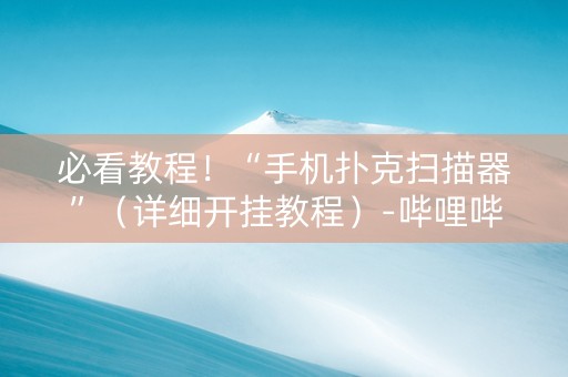 必看教程！“手机扑克扫描器”（详细开挂教程）-哔哩哔哩