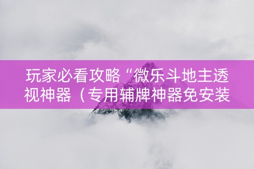 玩家必看攻略“微乐斗地主透视神器（专用辅牌神器免安装）