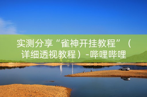 实测分享“雀神开挂教程”（详细透视教程）-哔哩哔哩