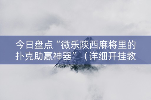 今日盘点“微乐陕西麻将里的扑克助赢神器”（详细开挂教程）-哔哩哔哩
