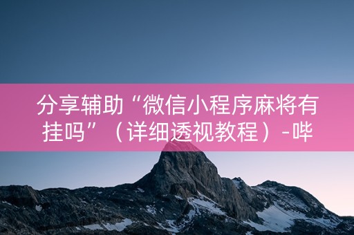 分享辅助“微信小程序麻将有挂吗”（详细透视教程）-哔哩哔哩