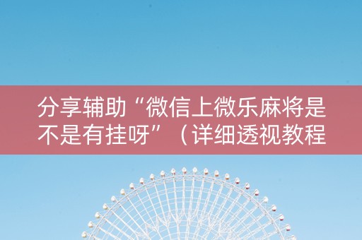 分享辅助“微信上微乐麻将是不是有挂呀”（详细透视教程）-哔哩哔哩