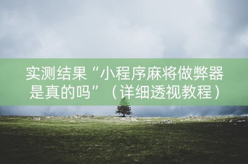 实测结果“小程序麻将做弊器是真的吗”（详细透视教程）-哔哩哔哩