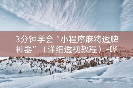 3分钟学会“小程序麻将透牌神器”（详细透视教程）-哔哩哔哩
