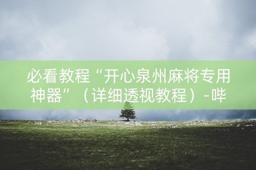 必看教程“开心泉州麻将专用神器”（详细透视教程）-哔哩哔哩