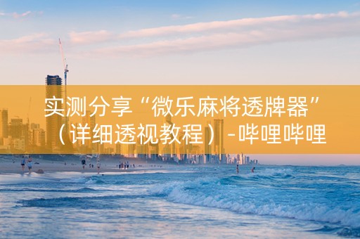 实测分享“微乐麻将透牌器”（详细透视教程）-哔哩哔哩