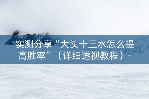 实测分享“大头十三水怎么提高胜率”（详细透视教程）-哔哩哔哩