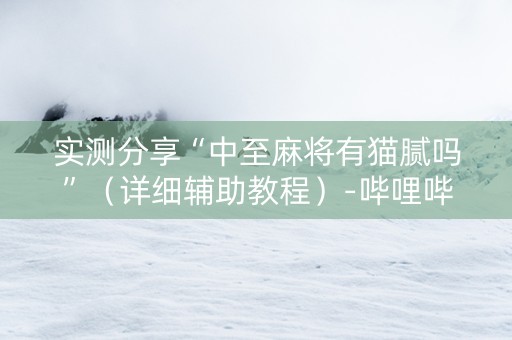 实测分享“中至麻将有猫腻吗”（详细辅助教程）-哔哩哔哩