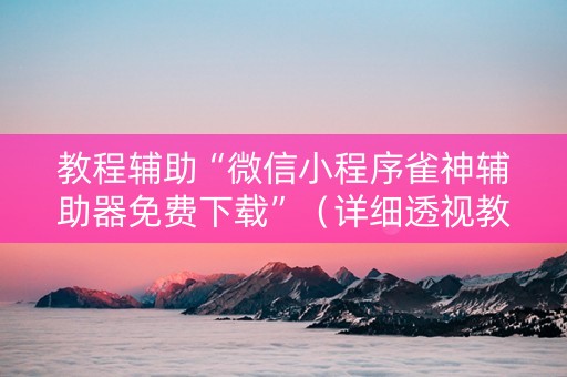 教程辅助“微信小程序雀神辅助器免费下载”（详细透视教程）-哔哩哔哩