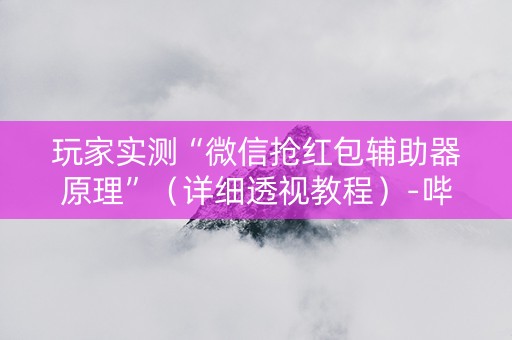 玩家实测“微信抢红包辅助器原理”（详细透视教程）-哔哩哔哩