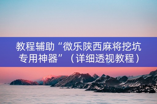 教程辅助“微乐陕西麻将挖坑专用神器”（详细透视教程）-哔哩哔哩