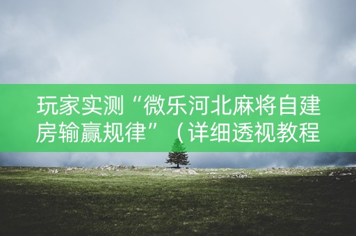 玩家实测“微乐河北麻将自建房输赢规律”（详细透视教程）-哔哩哔哩