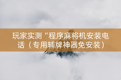 玩家实测“程序麻将机安装电话（专用辅牌神器免安装）