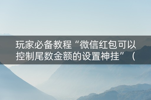 玩家必备教程“微信红包可以控制尾数金额的设置神挂”（详细透视教程）-哔哩哔哩