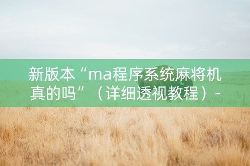 新版本“ma程序系统麻将机真的吗”（详细透视教程）-哔哩哔哩